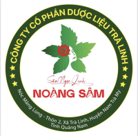 SÂM NGỌC LINH NAM TRÀ MY - belovedbeyond.com