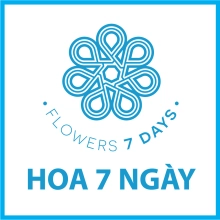 H7N Plus - Thảo Điền - Q2 - belovedbeyond.com