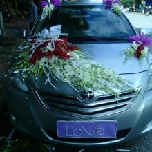 Shop hoa tươi Ánh Nguyệt  - belovedbeyond.com