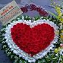 Hoa Tuoi Ngoc Ha - belovedbeyond.com