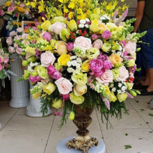 Shop Bảo Vy - belovedbeyond.com