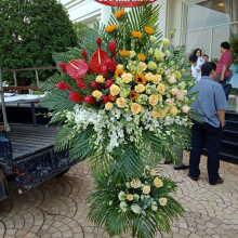 Hoa Tươi Hồng Hạnh  - belovedbeyond.com