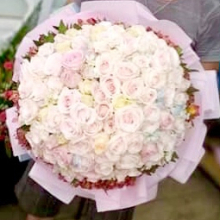  Hoa Tươi Thái Bảo Lộc - belovedbeyond.com