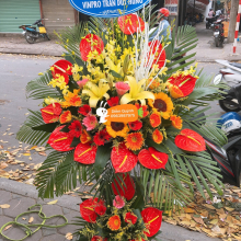 Shop Diễm Quỳnh - belovedbeyond.com