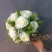 Hoa Tulip - belovedbeyond.com