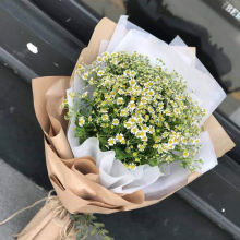 Shop Hoa Nga Truong - belovedbeyond.com