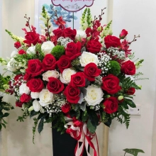 Minh Tuấn flowers - belovedbeyond.com