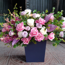 Hoa Mộc Lan - belovedbeyond.com