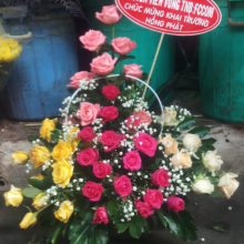 Shop Hoa Năm Nhỏ - belovedbeyond.com