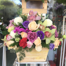 Hpa Tươi Ngọc Uyên - belovedbeyond.com