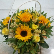 Hoa Tươi Đông Nhi - belovedbeyond.com