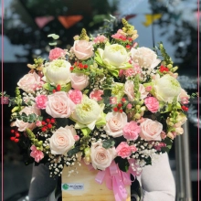 Hoa tươi Mimosa - belovedbeyond.com