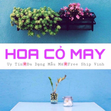 Hoa Cỏ May - Vinh  - belovedbeyond.com