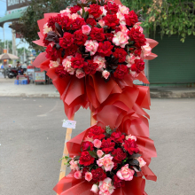 Hoa 24h - Bình Phước - belovedbeyond.com