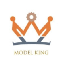 MODEL KING - Đồ chơi gỗ sáng tạo - belovedbeyond.com