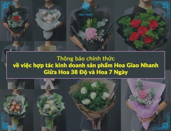 Thông báo chính thức về việc hợp tác kinh doanh sản phẩm Hoa Giao Nhanh giữa Hoa 38 Độ và Hoa 7 Ngày - belovedbeyond.com