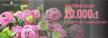 Thưởng ngay 20.000 điểm thưởng khi giới thiệu thành viên đăng ký https://xinhtuoi.online - belovedbeyond.com