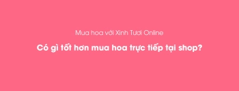 Mua hoa với Xinh Tươi Online có gì tốt hơn mua hoa trực tiếp tại shop? - belovedbeyond.com