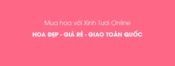 Mua hoa online, hoa đẹp, giá rẻ, giao toàn quốc - belovedbeyond.com