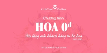 Chương trình HOA 0 ĐỒNG đã quay trở lại - belovedbeyond.com
