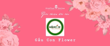 Gấu Con Flower - Hồ Chí Minh - Đối tác của XinhTuoi.Online - belovedbeyond.com