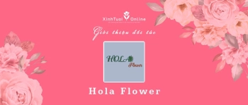 Hola Flower - Hồ Chí Minh - Đối tác của XinhTuoi.Online - belovedbeyond.com