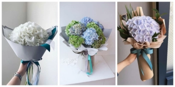 Những điều đặc biệt về hoa cẩm tú cầu  - belovedbeyond.com