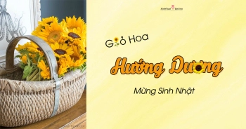Gợi ý giỏ hoa Hướng Dương đẹp tặng Sinh Nhật   - belovedbeyond.com