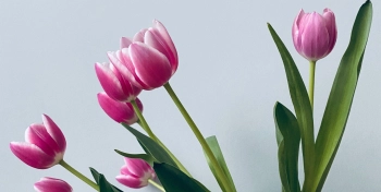 4 CÁCH CHỌN HOA SINH NHẬT TRÚNG TIM CRUSH - belovedbeyond.com