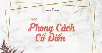 GỢI Ý BÌNH HOA CỔ ĐIỂN TẶNG SINH NHẬT SẾP - belovedbeyond.com