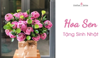 LẴNG HOA SEN Ý NGHĨA TẶNG SINH NHẬT MẸ - belovedbeyond.com