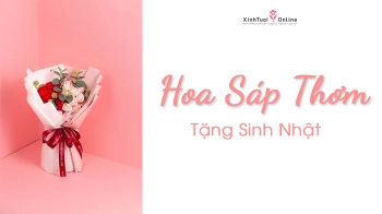 HOA SÁP VĨNH CỬU TẶNG SINH NHẬT - belovedbeyond.com