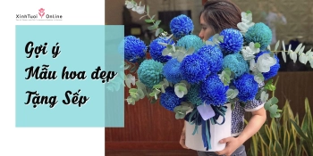 Gợi ý những mẫu hoa tươi sang trọng tặng sếp - belovedbeyond.com