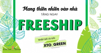 SẮM ĐIỀU HÒA XANH - TẶNG NGAY FREESHIP - belovedbeyond.com