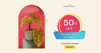 HOT DEAL 20-10 | GIẢM NGAY 50% CÂY XANH TẠI DẾ GARDEN  - belovedbeyond.com