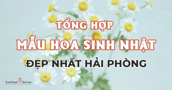 Tổng hợp mẫu hoa sinh nhật đẹp nhất Hải Phòng - belovedbeyond.com