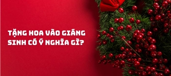 TẶNG HOA VÀO GIÁNG SINH CÓ Ý NGHĨA GÌ?  - belovedbeyond.com