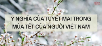 Ý NGHĨA CỦA TUYẾT MAI TRONG MÙA TẾT CỦA NGƯỜI VIỆT NAM  - belovedbeyond.com