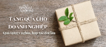 QUÀ TẶNG DOANH NGHIỆP CHO ĐỐI TÁC: QUÀ TẶNG Ý NGHĨA, HỢP TÁC DÀI LÂU - belovedbeyond.com