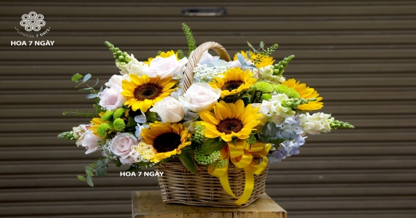 Hoa hướng dương - loài hoa của Mặt Trời - belovedbeyond.com
