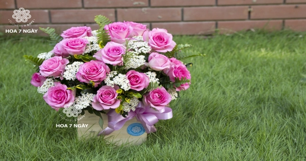 Hồng Hoa - belovedbeyond.com
