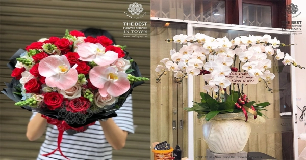 HOA 7 NGÀY - LAN HỒ ĐIỆP CHƯNG TẾT - belovedbeyond.com