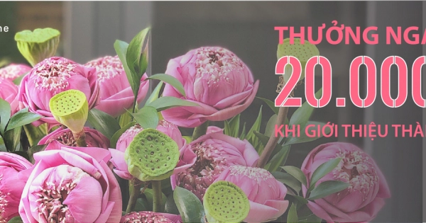 Thưởng ngay 20.000 điểm thưởng khi giới thiệu thành viên đăng ký https://xinhtuoi.online - belovedbeyond.com