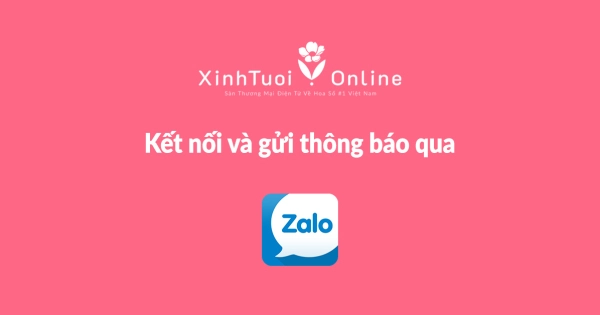 Hướng dẫn kết nội và nhận thông báo qua Zalo - belovedbeyond.com