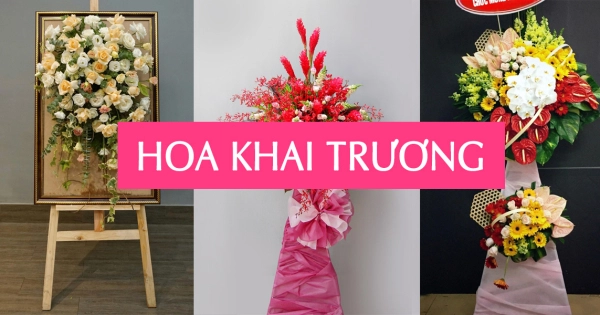 Tôi cần đặt hoa tặng khai trương tại Quận 1, TP Hồ Chí Minh (hcm) - belovedbeyond.com