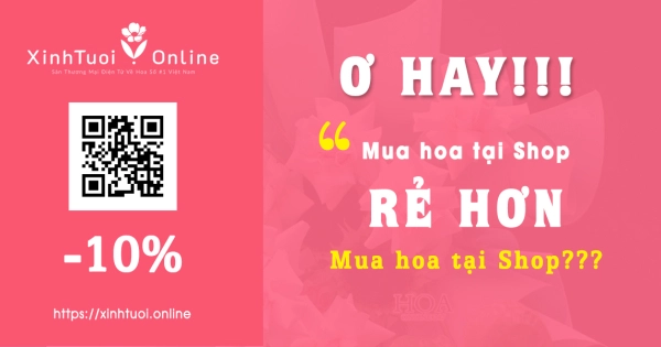 Mua hoa tại shop RẺ HƠN mua hoa tại shop??? - belovedbeyond.com