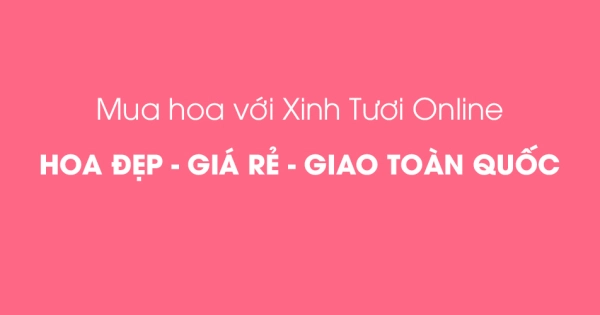 Mua hoa online, hoa đẹp, giá rẻ, giao toàn quốc - belovedbeyond.com