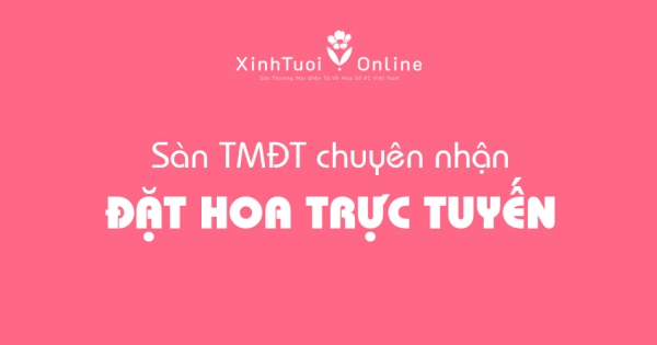 Mua hoa online, đặt hoa trực tuyến nhanh và tiện lợi - belovedbeyond.com