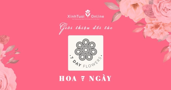 HOA 7 NGÀY - Hồ Chí Minh - Đối tác của XinhTuoi.Online - belovedbeyond.com