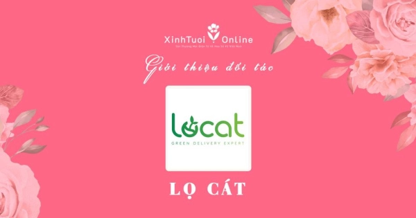 Lọ Cát - Hồ Chí Minh - Đối tác của XinhTuoi.Online - belovedbeyond.com